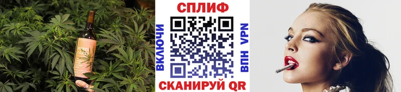 Купить где  Злынка  Canna-Cookies конопля 