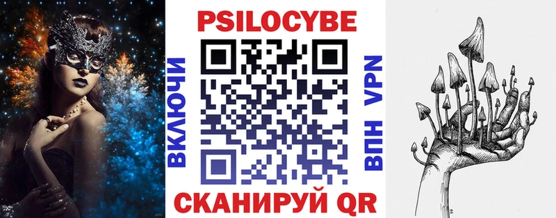 Галлюциногенные грибы Psilocybine cubensis Купить Злынка