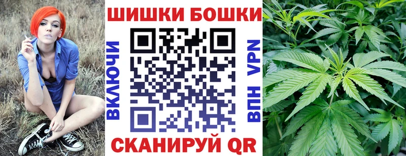Купить Злынка Каннабис индика